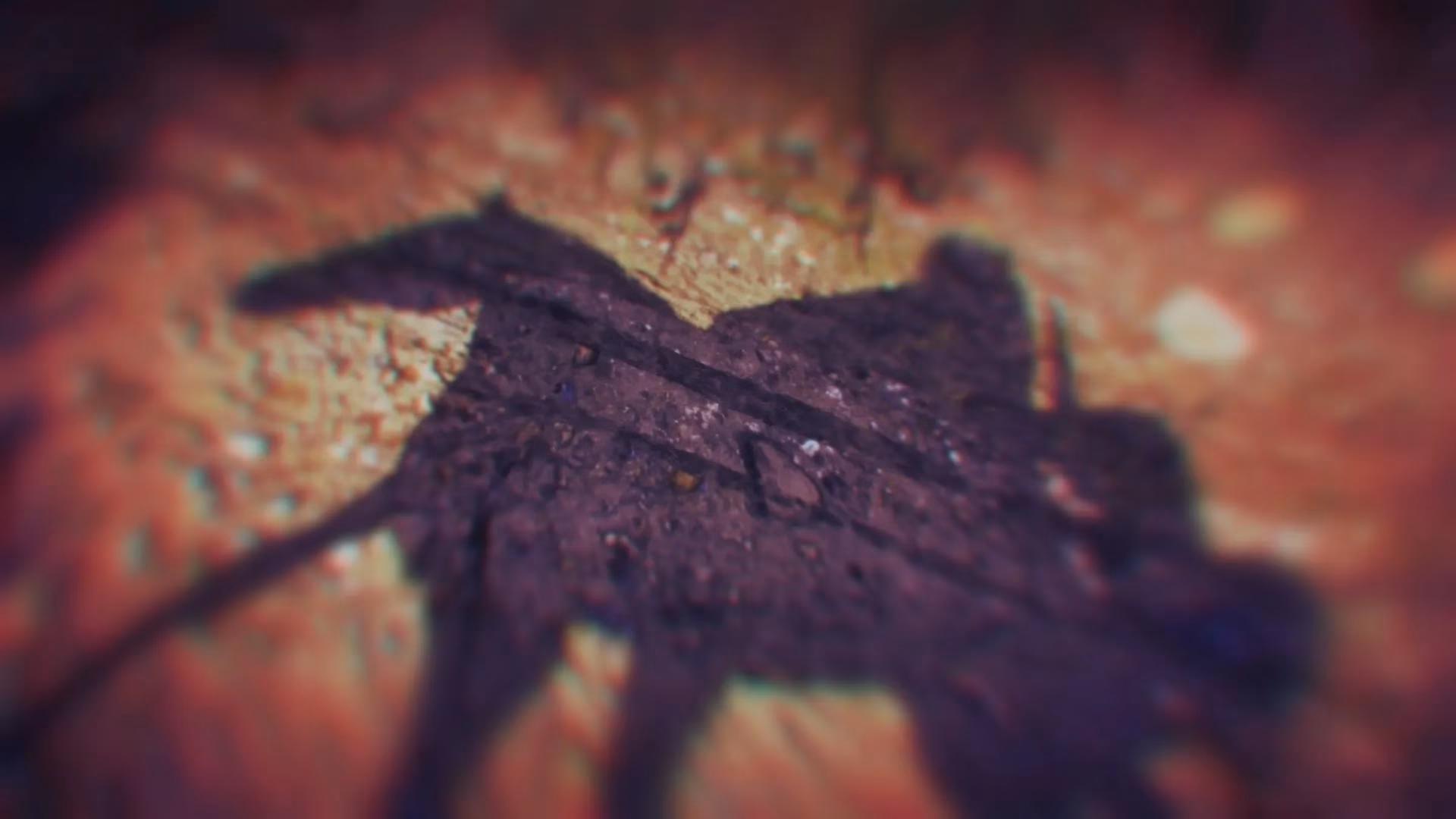 photo-mode-memories-a-2026-retrospective-quiz-image-9