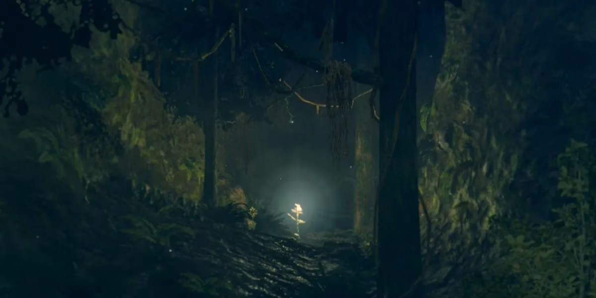 my-2026-journey-through-the-best-video-game-forests-image-3