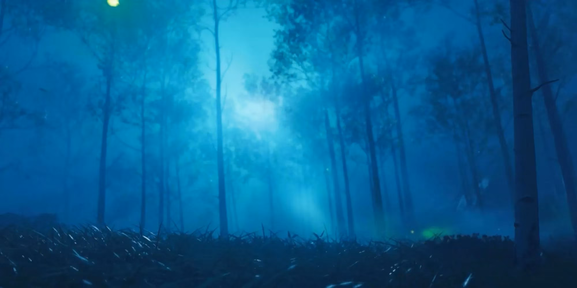 my-2026-journey-through-the-best-video-game-forests-image-9